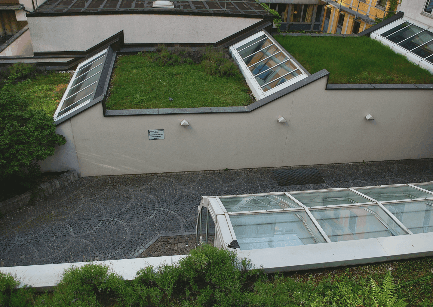 dachbegrünung in hamburg